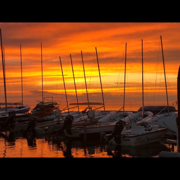 Meet your Posher, Marlene - Picture 1 of 1